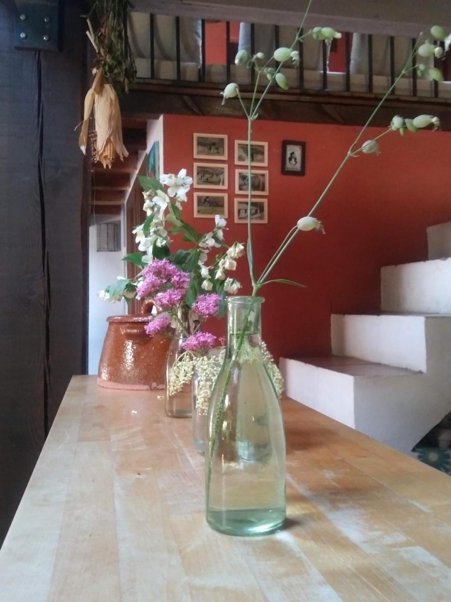 Hostal Casa Corazón de piedra en el Río Dulce Aragosa Exterior foto